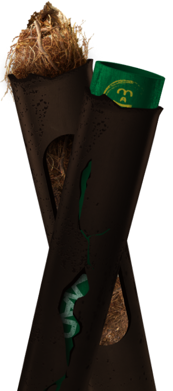 Blocked drains Melbourne